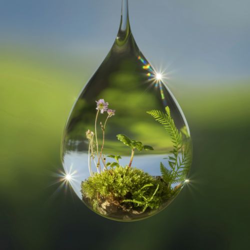 Natur begreifen Land Home 01