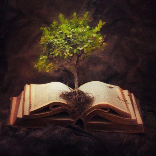 Wissen erleben Land Home 01